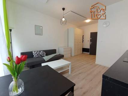 Kawalerka obok parku, pet-friendly- Grunwaldzka 36