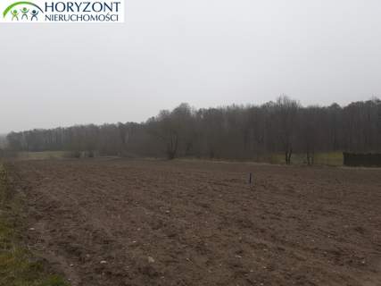 Mechowo- kompleks działek budowlanych