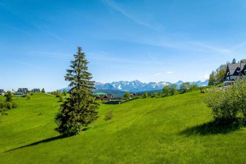 Działka inwestycyjna z widokiem na Tatry