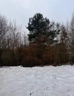Syndyk sprzeda działki budowlane nad jeziorem w Brodnicy