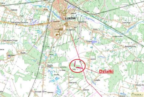 Sprzedam 4,55 ha w Gołąbkach przy trasie 63 Łuków- Radzyń Podl