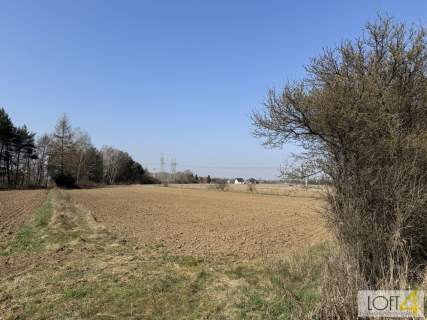 Działki z WZ Bobrowniki Wielkie k/Tarnowa