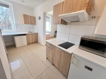 Duża kawalerka, 38 m2, pet-friendly - Mariacka 12