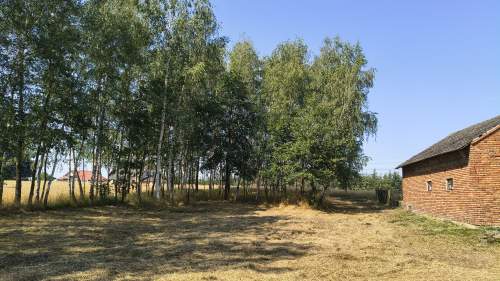 Działka rolno-budowlana 41 arów Dąbrówka Osuchowska
