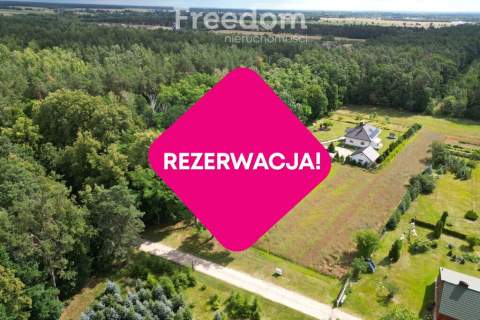 Działka budowlana z własnym lasem 5804 m Hola