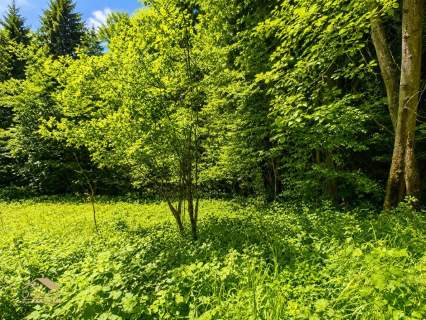 Działka budowlana 1161 m Milówka