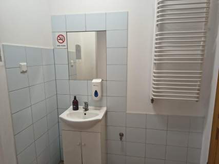 Lokal użytkowy do wynajęcia, 320 m2, Świdnica