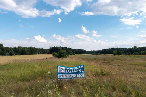 Duża działka budowlana z widokiem na las