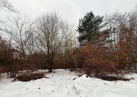Syndyk sprzeda działki budowlane nad jeziorem w Brodnicy