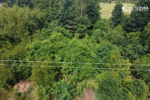 Działka 1147 m2 pod dom jednorodzinny Piechowice, gmina Dziemiany...