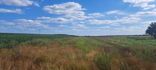 Miłków Kolonia. Piękna działka budowlana 