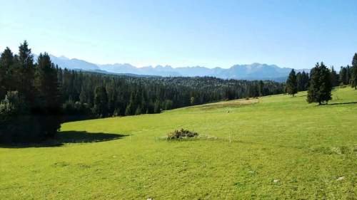 DZIAŁKA W RZEPISKACH Z WIDOKIEM NA TATRY
