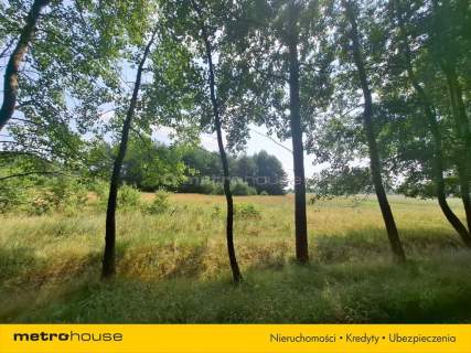 Działka 2,8ha w Dolinie Baryczy Wilkowo