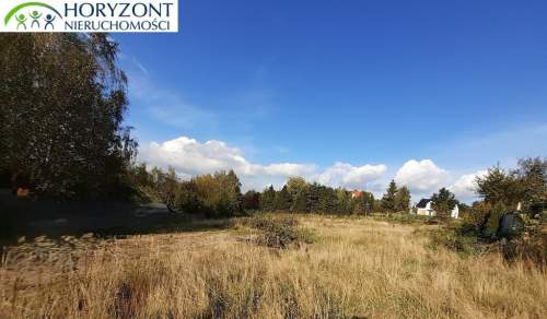 Czaple - dwie działki do wyboru