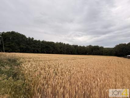 Duża działka z WZ - wiele możliwości