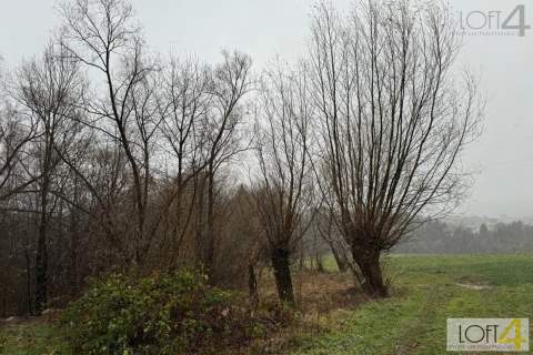Budżetowa propozycja i/ lub ciekawa inwestycja.