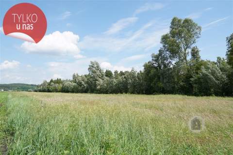 Zadrzewiony grunt rolny, 1,73 ha przeliczeniowych