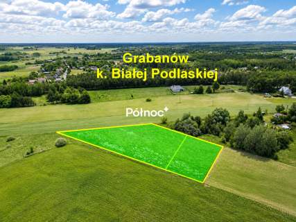 Działki z możliwością zabudowy Grabanów