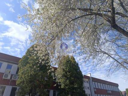 Mokotów lokal biurowo-magazynowy 15 m2 do wynajęcia