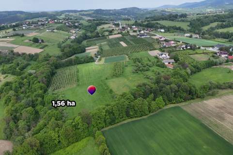 Działka rolno-leśna, 1,56 ha, Sadek, Jodłownik