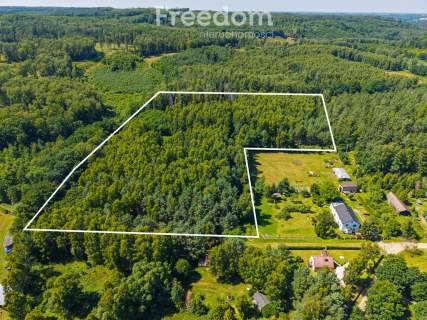 Prywatny las w Kręgu, blisko jeziora