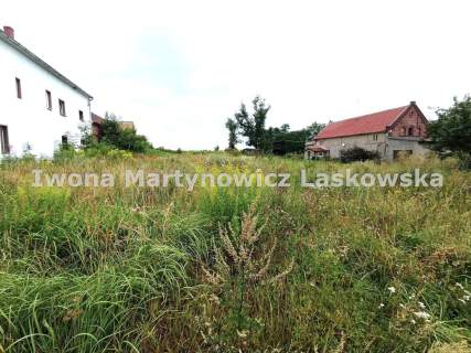 Działka budowlana Krzyżowa koło Ścinawy