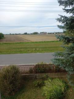 Gospodarstwo rolne w Lututowie 3,75 ha z domem