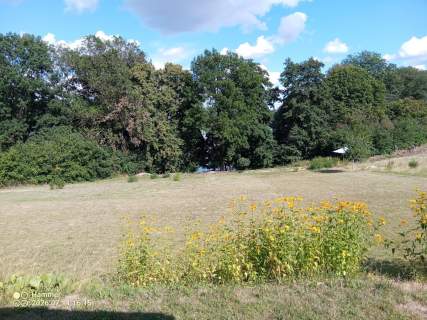 Działka z WZ, linią brzegową jeziora i winnicą