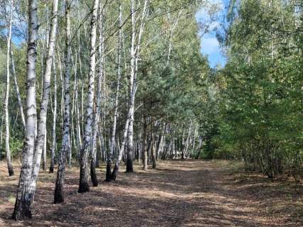 Działka rekreacyjna na sprzedaż, 6800 m2, Michałówek
