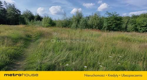 działka budowlana 1363 m Mogilno Duże WZ