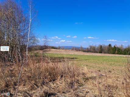 Widokowa działka - stadnina koni, agroturystyka