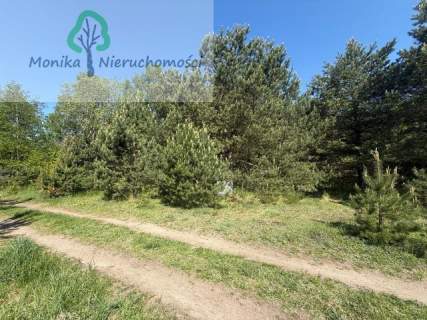 Działka budowlana w otoczeniu lasu, blisko jeziora