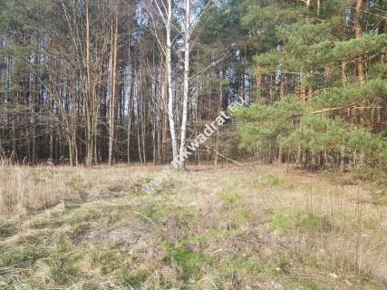  2500 m2 urokliwa działka przy lesie z MPZP 