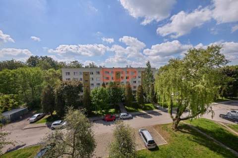 Sosnowiec - Bór Do remontu Spokojna okolica 42,45m2 piwnica