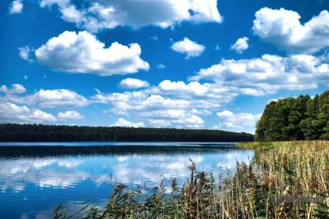 Prywatna plaża, teren i las nad jeziorem Dołgie.