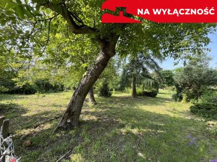 Siedlisko w Kaliszanach Kolonii gm. Józefów