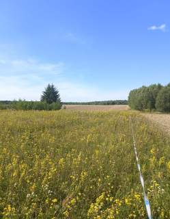 Mazurska sielanka   Działka -Warunki Zabudowy Jezioro 1.8 km...