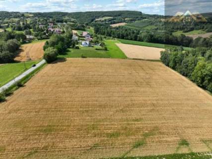 Budowlana 91 ar Lichwin gm. Pleśna, przy lesie