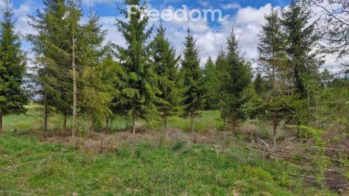 Twoje miejsce ciszy 750m od jeziora Warmia Mazury