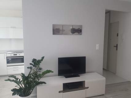 do wynajęcia apartament