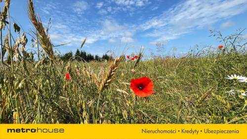 Działka budowlana nad morzem 5,3 km od plaży