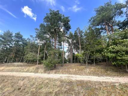 Dom na sprzedaż, 45,32 m2, Nowa Wieś