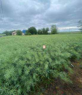 Działka rzemieślniczo-usługowa 10,92 ara   Radymno