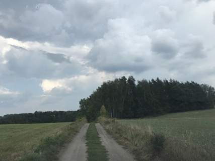 Działki z MPZP między dwoma jeziorami Mokiny, ty