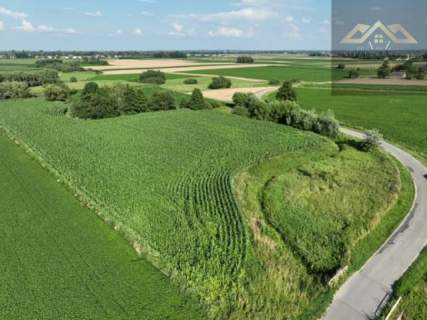 Działka rolna 80 arów w Miechowicach