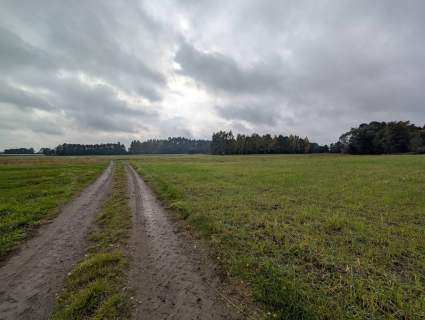 Działka rolna o powierzchni 2581m2, Strzałków, gm. Lisków