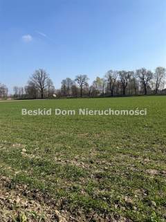 Działka na sprzedaż, 8000 m2, Czechowice-Dziedzice