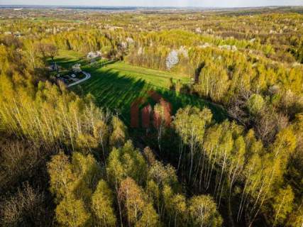 3,33 ha z lasem i strumykiem - teren pod zabudowę
