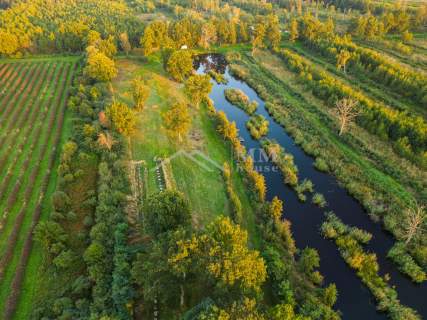 Grunty na Zalewem Wiślanym 21,8200ha