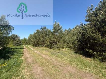 Działka budowlana w otoczeniu lasu, blisko jeziora
